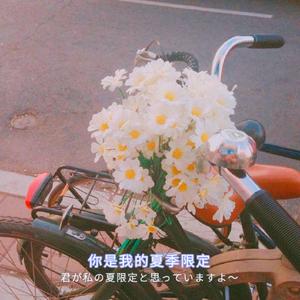 耽肉高H喷汁动漫
