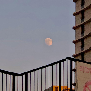 耽肉高H喷汁动漫
